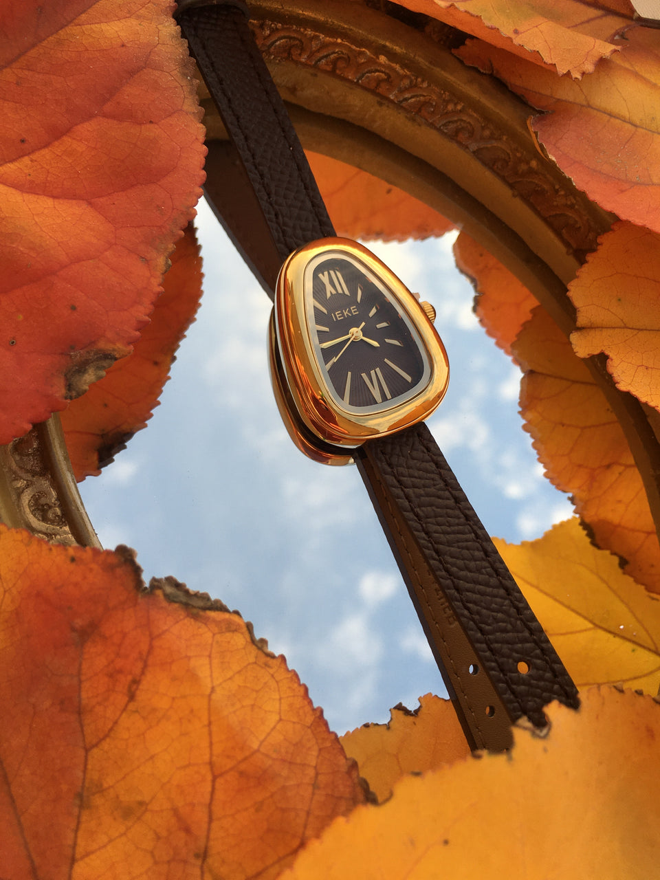 Montre IEKE Ovaline - Marron Chocolat