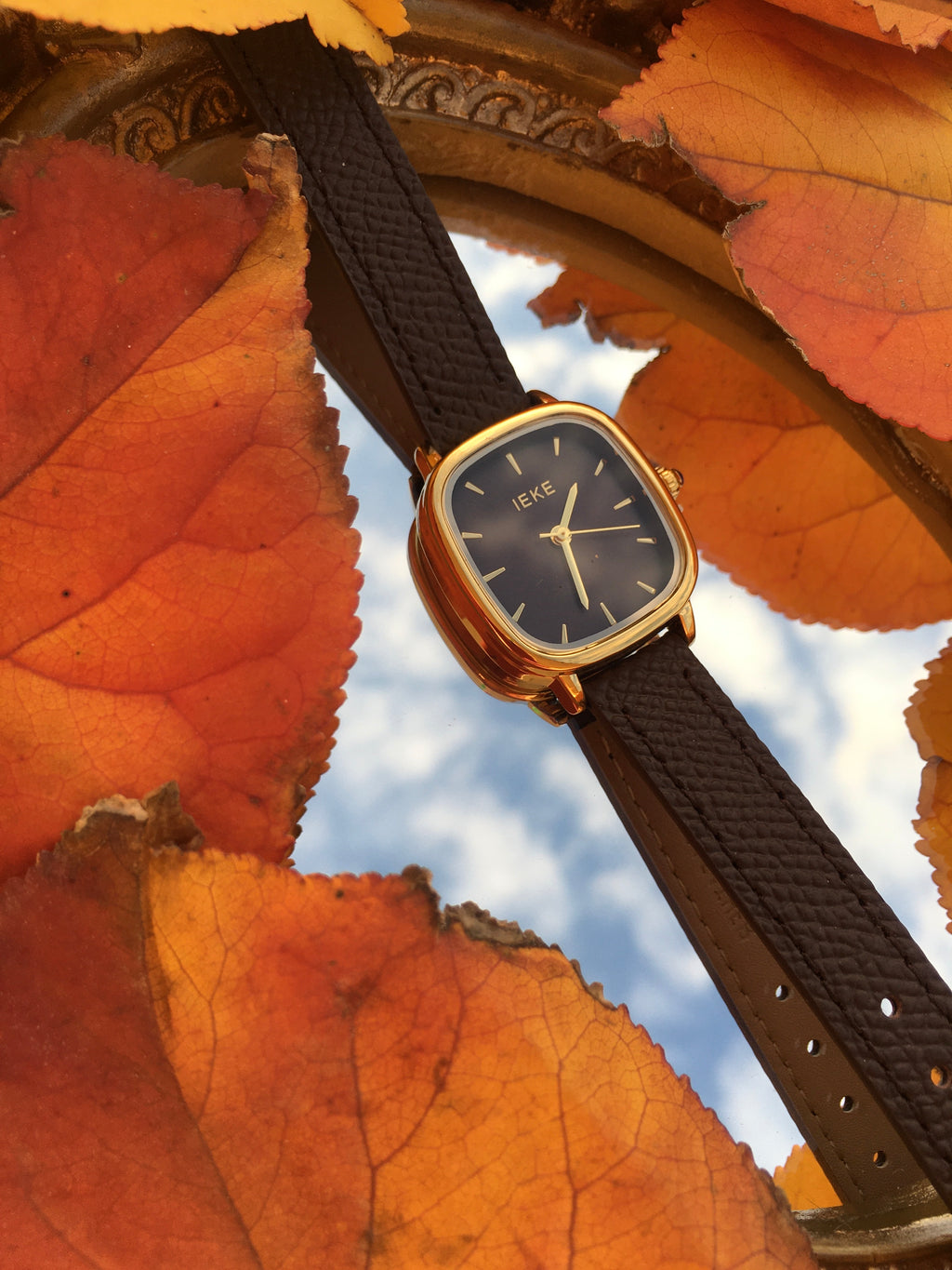 Montre IEKE ÉLISA ✨ Marron Chocolat