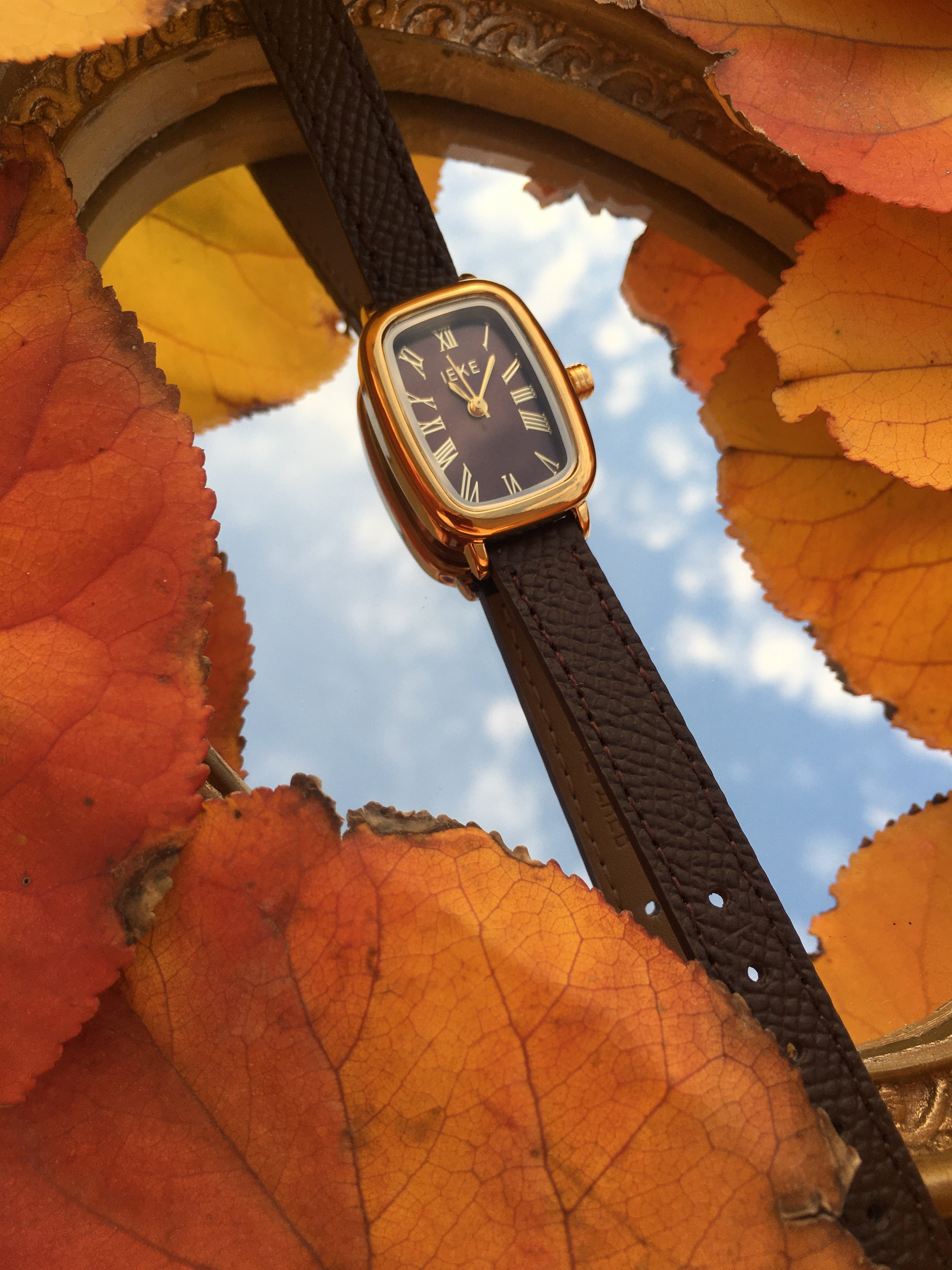 Montre IEKE AURÉLIA ✨ Marron Chocolat